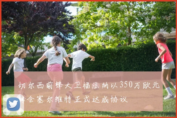 切尔西前锋大卫福法纳以350万欧元转会塞尔维特正式达成协议